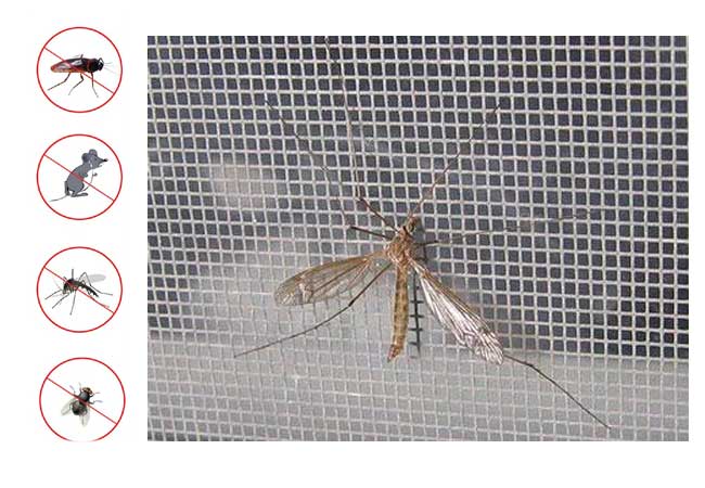 Cửa lưới chống muỗi ban công ngăn chặng muỗi xâm nhập